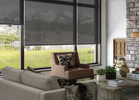 Best roller window blinds and shades
